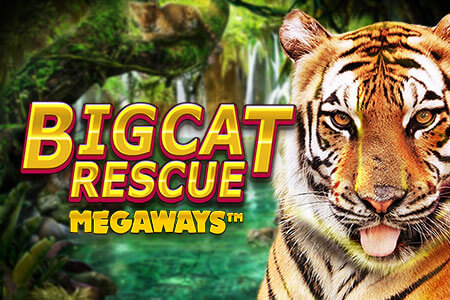 Big Cat Rescue Megaways