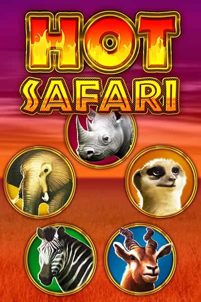 Hot Safari